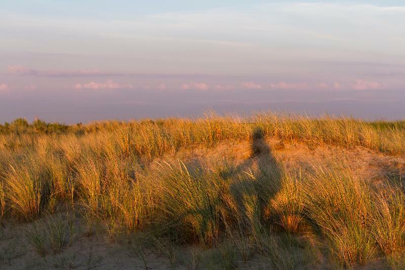 Westcord Hotel De Wadden Vlieland Εξωτερικό φωτογραφία